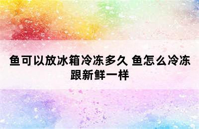 鱼可以放冰箱冷冻多久 鱼怎么冷冻跟新鲜一样